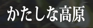 ȉ
